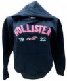 MOLETOM FEMININO - HOLLISTER